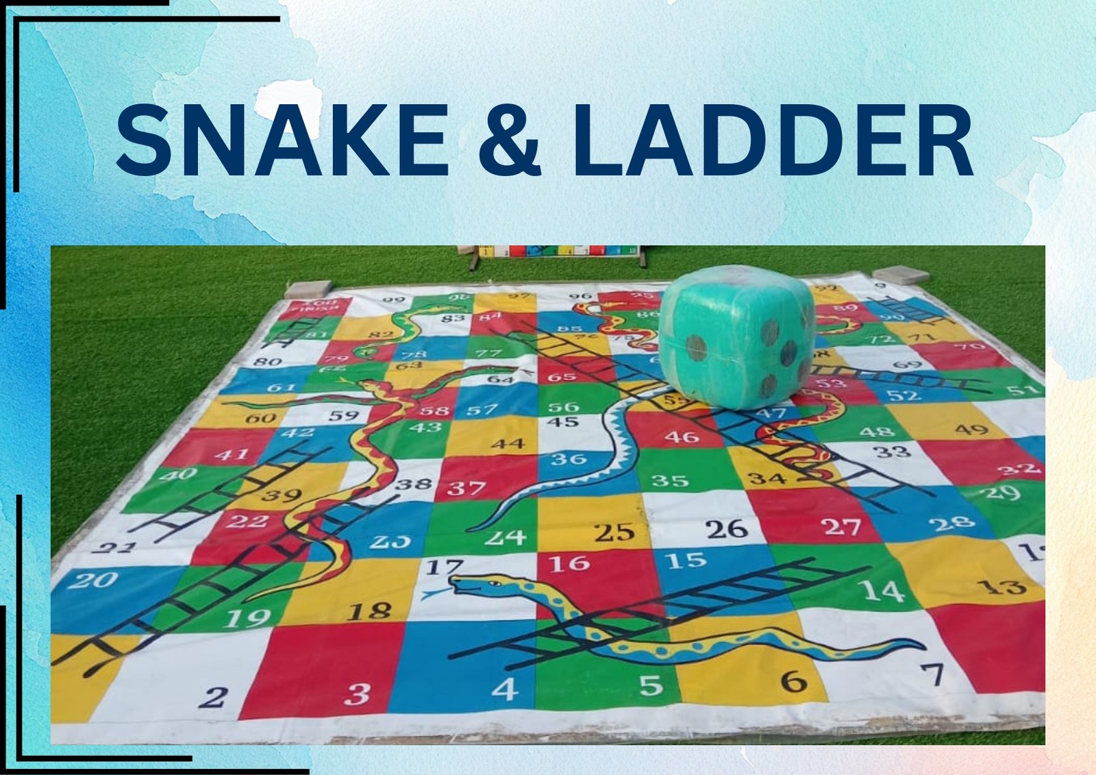 Snake & Ladder