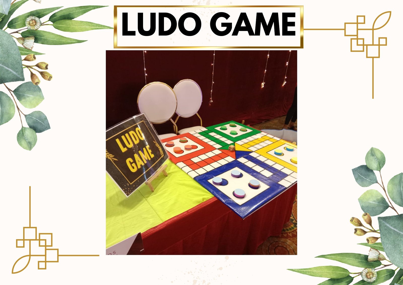 Ludo Game